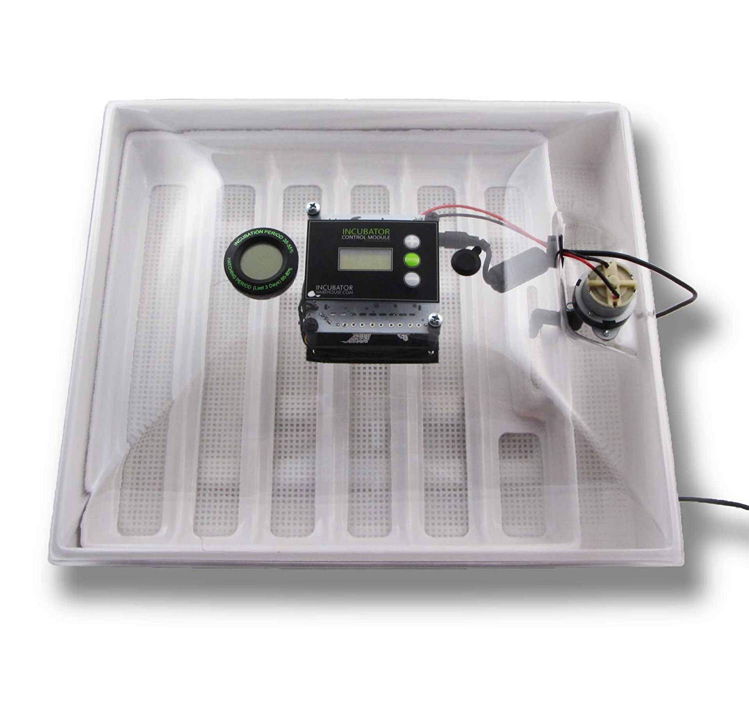 All-In-One Automatic Egg Incubator with built-in Automatic Egg Turner 3 Parrots Eggs for Sale