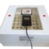 Parrots Incubators for Sale